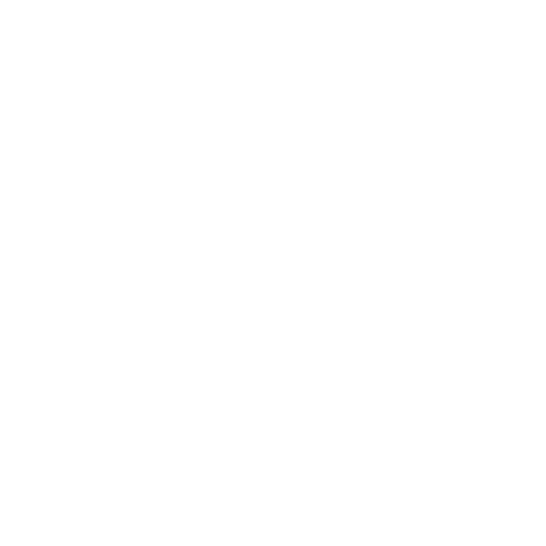 To the Moon